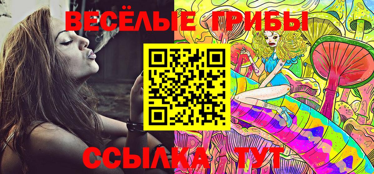 Асбест  Галлюциногенные грибы Psilocybine cubensis  Вход с VPN 